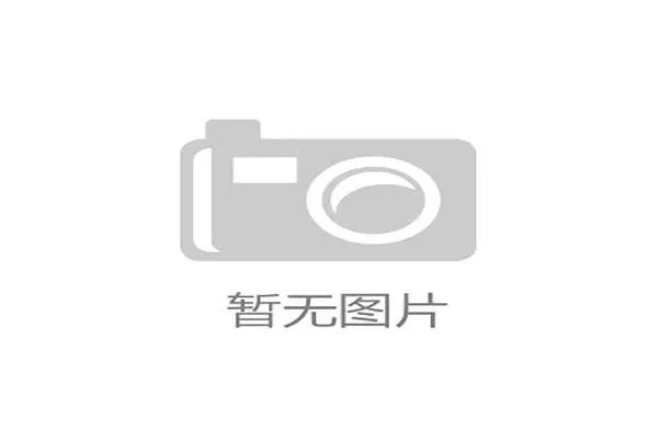 勒沃库森主帅：伤病困扰下球队精神力显得尤为关键