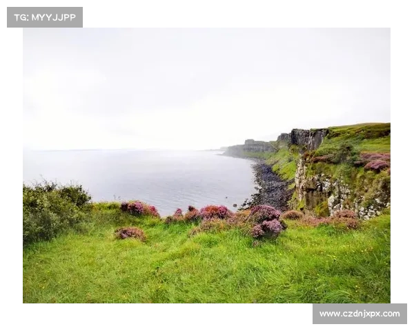 足球版图上的英伦三岛:独立王国的别样风景 足球版图上的英伦三岛:独立王国的别样风景